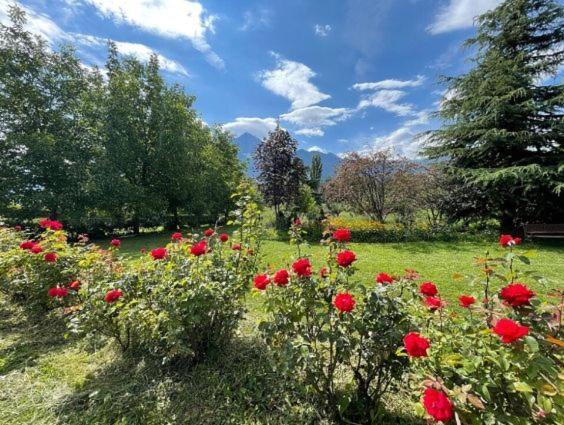 La Vigna Bed & Breakfast Aosta Bagian luar foto